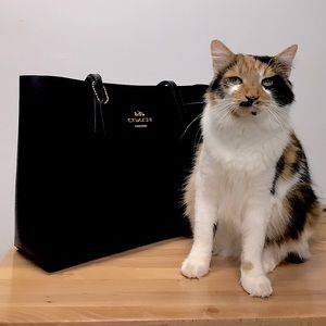 Coach Tote - down from $350